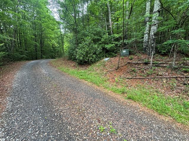 Lot 3 Horse Camp Drive, Hayesville, NC 28904