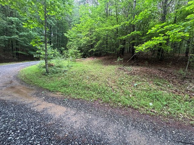 Lot 3 Horse Camp Drive, Hayesville, NC 28904