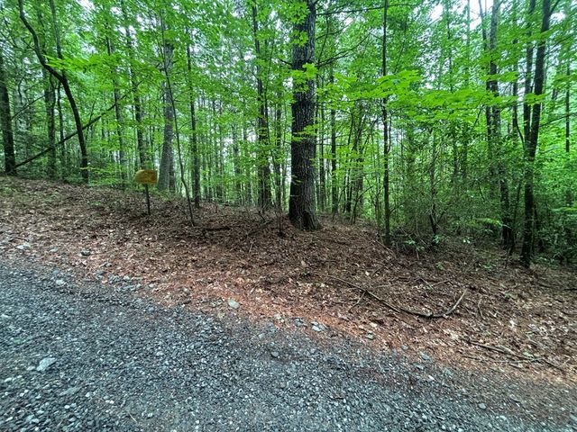 Lot 3 Horse Camp Drive, Hayesville, NC 28904