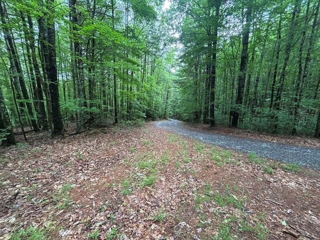 Lot 3 Horse Camp Drive, Hayesville, NC 28904