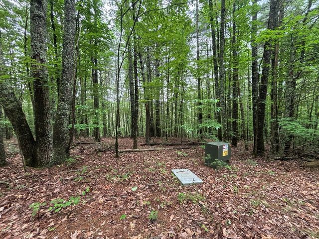 Lot 3 Horse Camp Drive, Hayesville, NC 28904