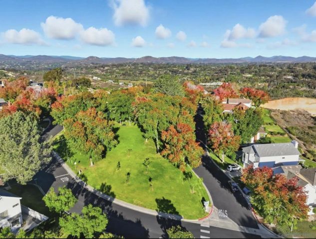 3603 Lorimer Ln, Encinitas, CA 92024
