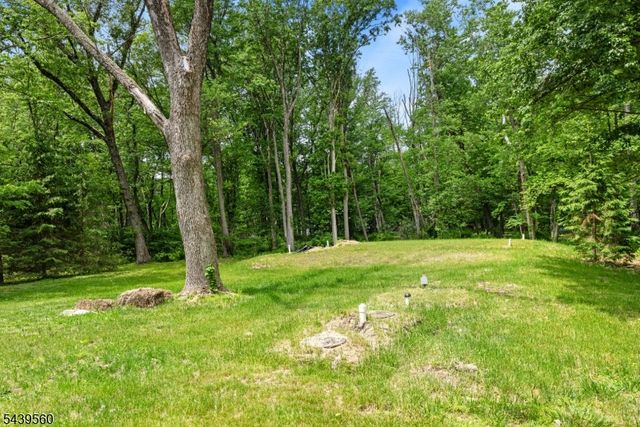 20 Cooper Ln, Chester Twp., NJ 07930
