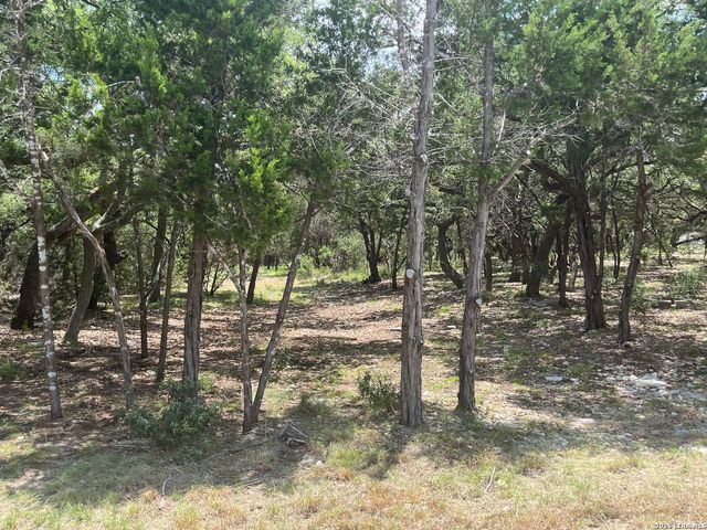 254 Flanders, Fischer, TX 78623