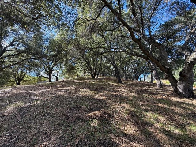 1920 Mantelli Drive, Gilroy, CA 95020
