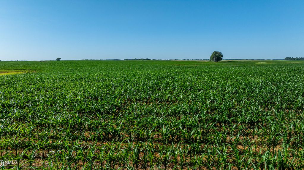 Tbd 58 Street SE, Enderlin, ND 58027 photo 14