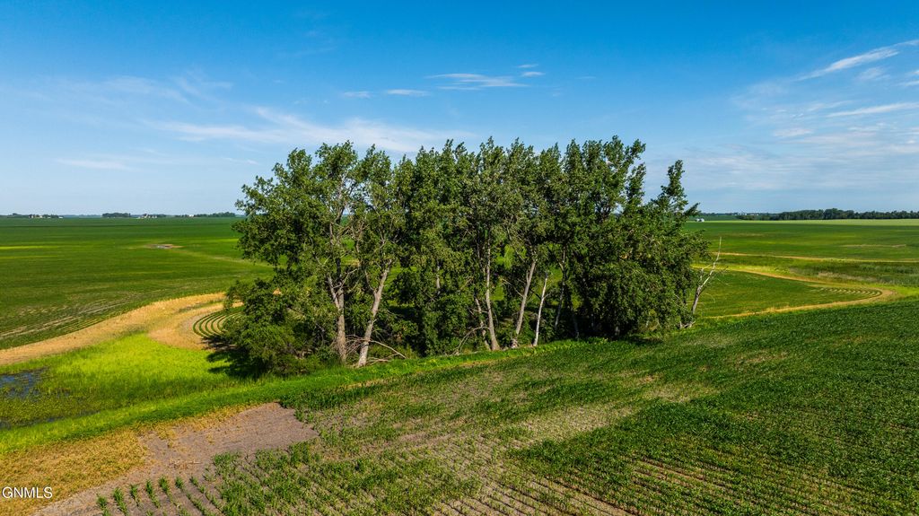 Tbd 58 Street SE, Enderlin, ND 58027 photo 15