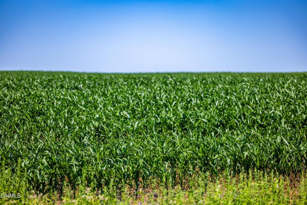 Tbd 58 Street SE, Enderlin, ND 58027 photo 2