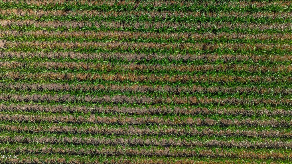 Tbd 58 Street SE, Enderlin, ND 58027 photo 23