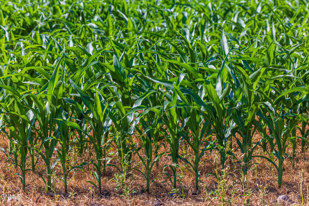 Tbd 58 Street SE, Enderlin, ND 58027 photo 25