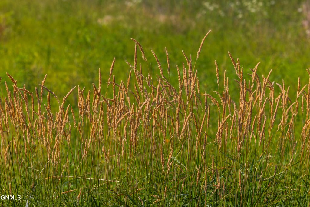 Tbd 58 Street SE, Enderlin, ND 58027 photo 29