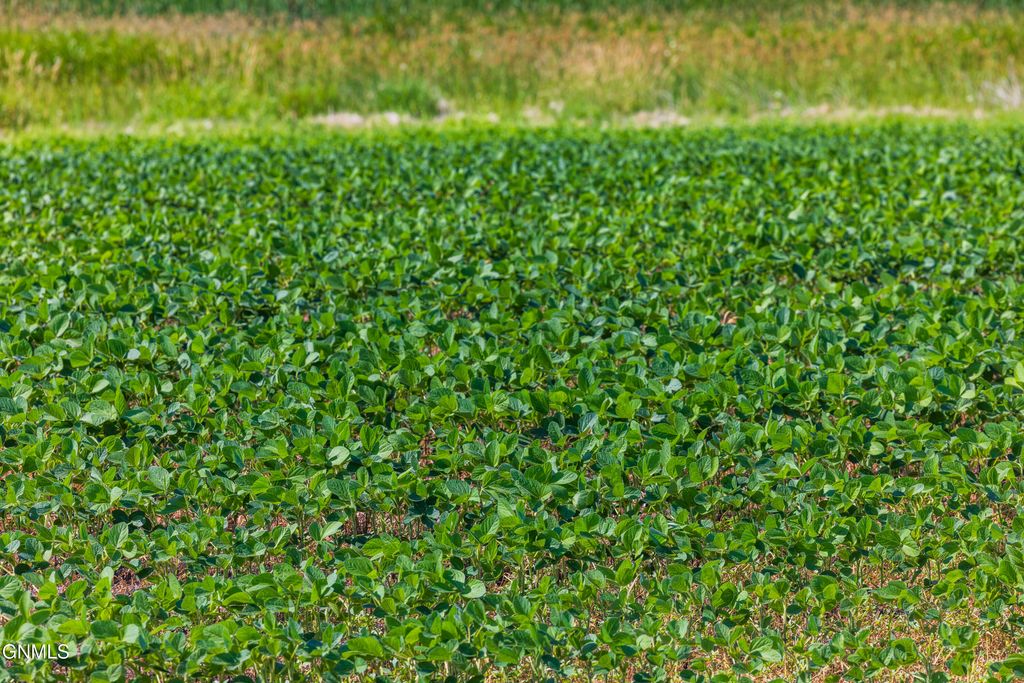 Tbd 58 Street SE, Enderlin, ND 58027 photo 30