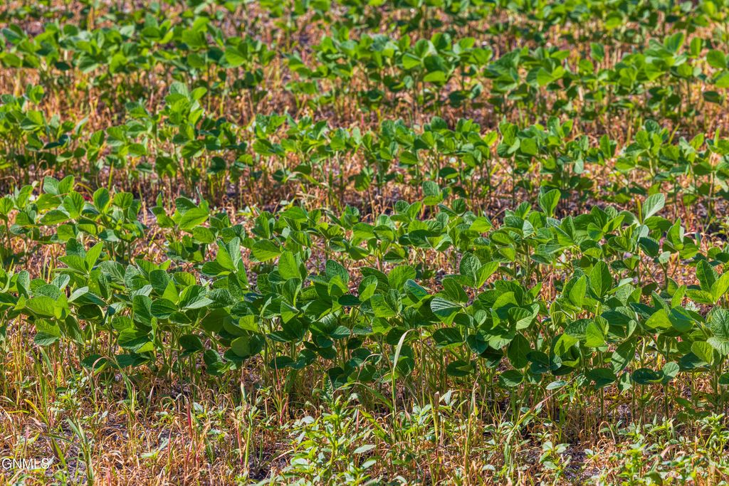 Tbd 58 Street SE, Enderlin, ND 58027 photo 31