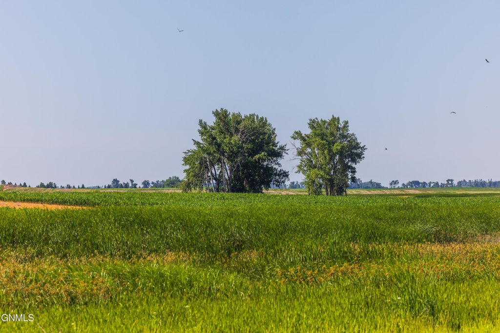 Tbd 58 Street SE, Enderlin, ND 58027 photo 34