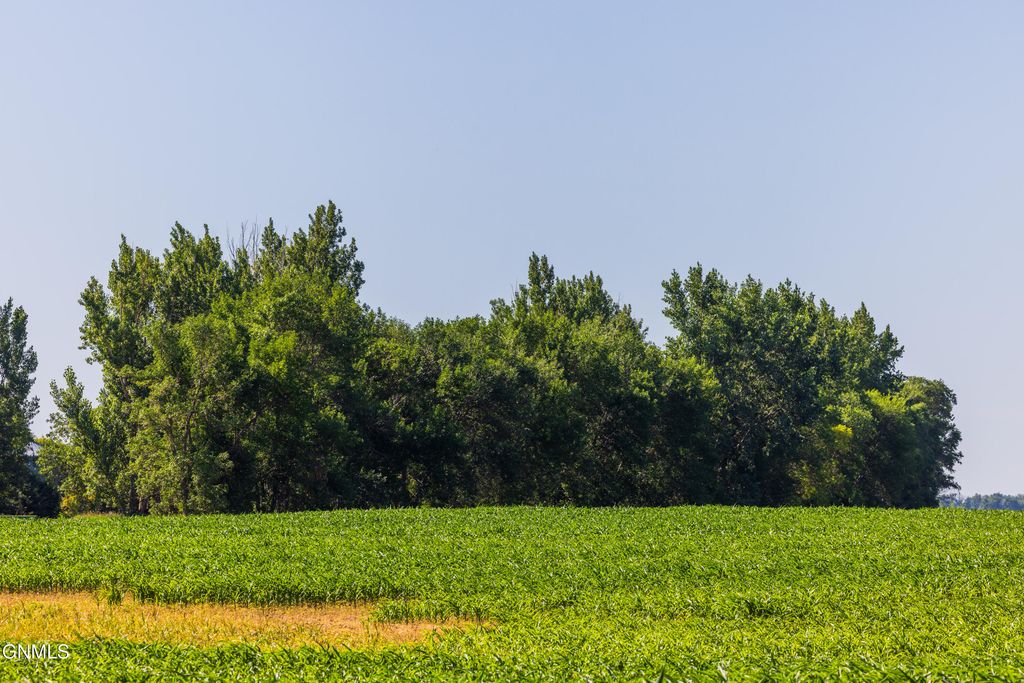 Tbd 58 Street SE, Enderlin, ND 58027 photo 35