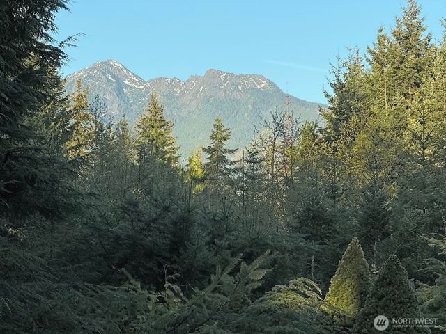123 Headwaters Lane, Port Angeles, WA 98362