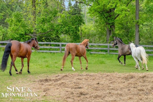 270 N Rochester Road, Addison Twp, MI 48367