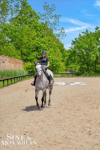 270 N Rochester Road, Addison Twp, MI 48367