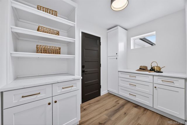 3005 S Race Street, Denver, CO 80210