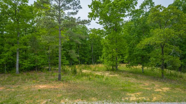 0 Moonlight Lane Jf444, Jasper, TN 37347
