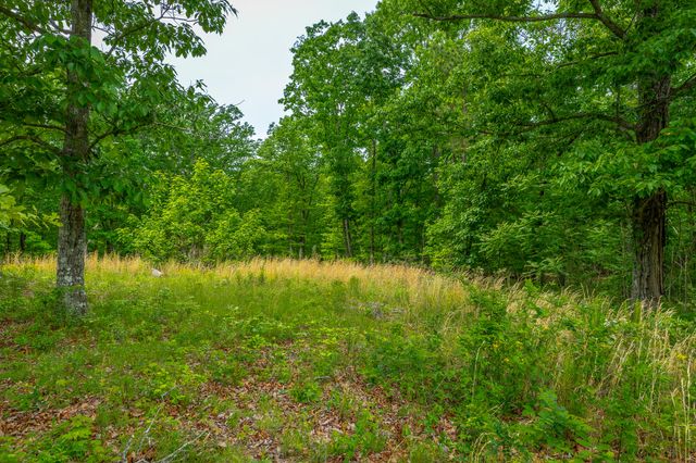 0 Moonlight Lane Jf444, Jasper, TN 37347