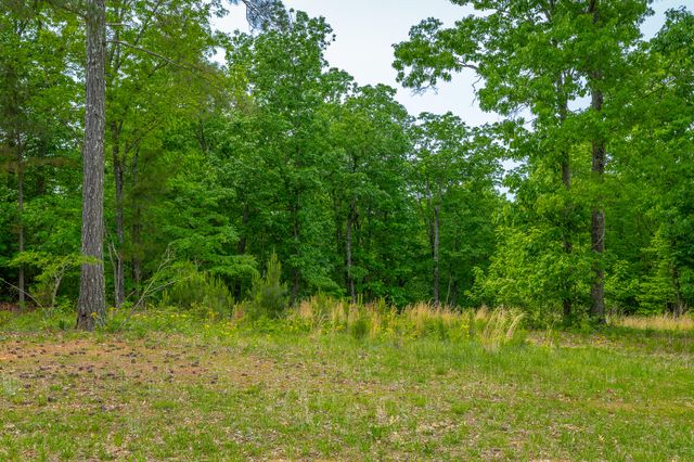 0 Moonlight Lane Jf444, Jasper, TN 37347