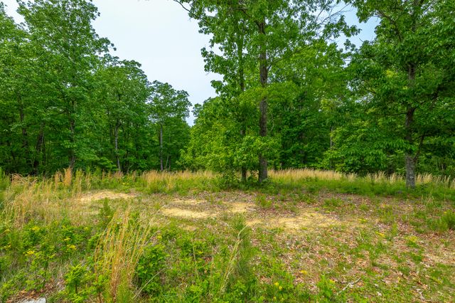 0 Moonlight Lane Jf444, Jasper, TN 37347