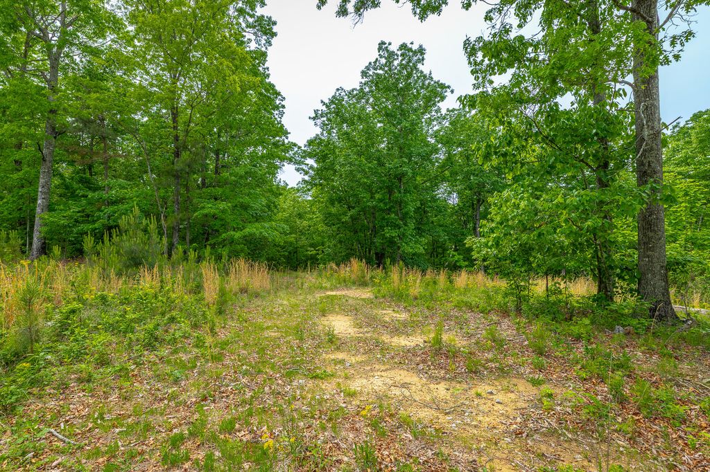 0 Moonlight Lane Jf444, Jasper, TN 37347