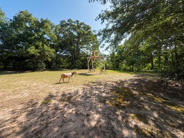 10976 Highway 80, Fruitvale, TX 75127