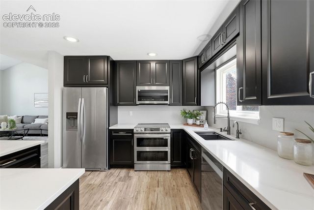 4590 Squirreltail Drive, Colorado Springs, CO 80920