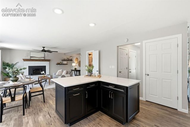 4590 Squirreltail Drive, Colorado Springs, CO 80920