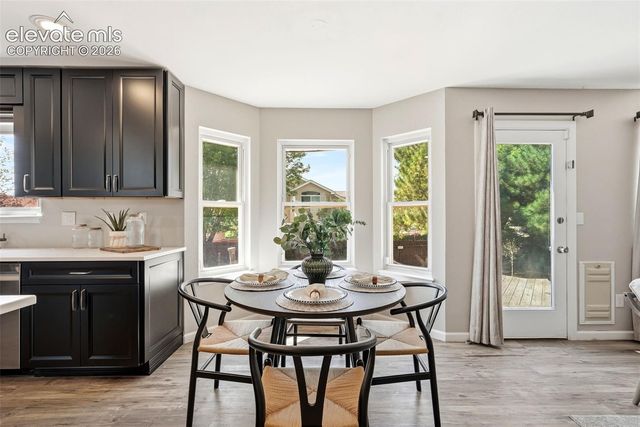 4590 Squirreltail Drive, Colorado Springs, CO 80920