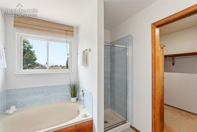 4590 Squirreltail Drive, Colorado Springs, CO 80920