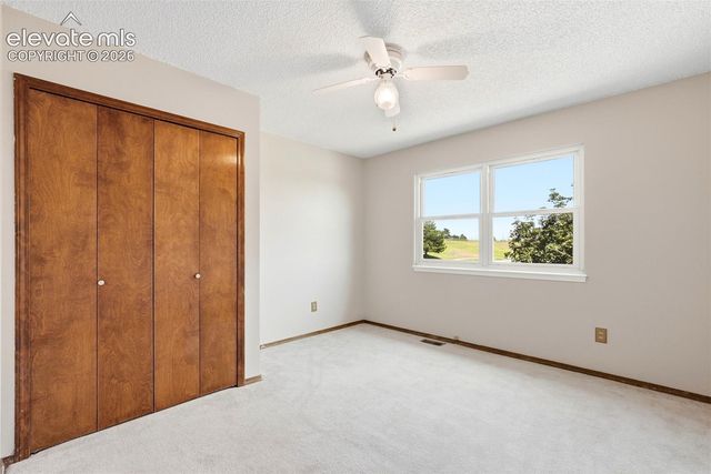 4590 Squirreltail Drive, Colorado Springs, CO 80920