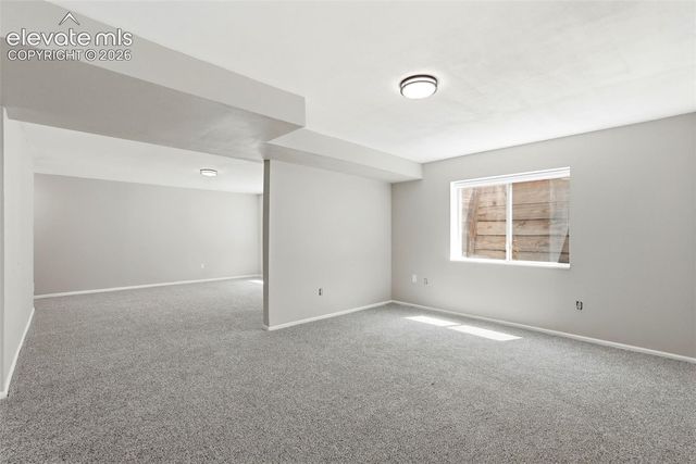 4590 Squirreltail Drive, Colorado Springs, CO 80920