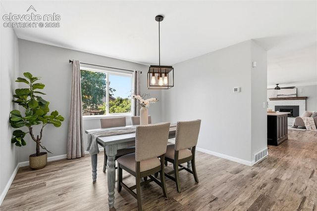 4590 Squirreltail Drive, Colorado Springs, CO 80920