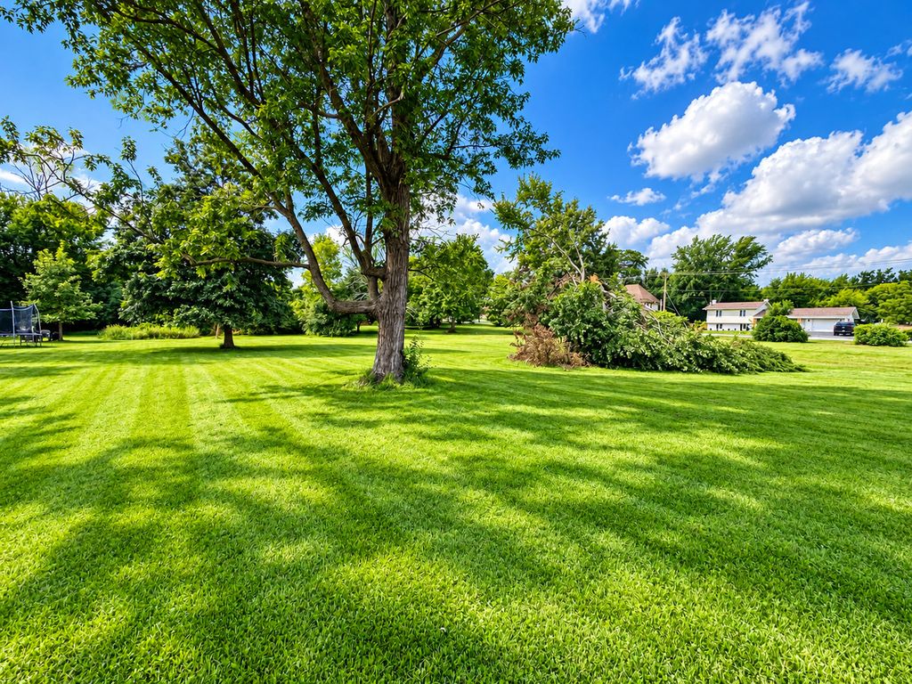 4708 Roslyn Road, Downers Grove, IL 60515 — photo 4