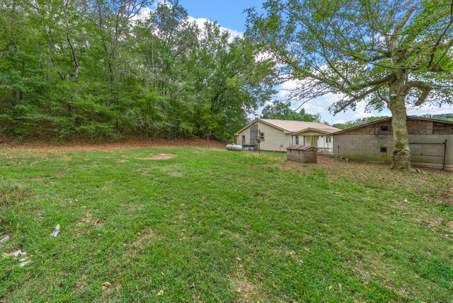 234 Lower Standing Rock Rd, Dover, TN 37058