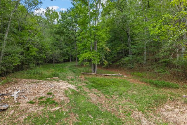 234 Lower Standing Rock Rd, Dover, TN 37058