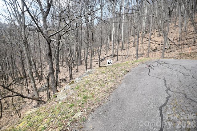 45 Prosperity Ridge 45, Waynesville, NC 28785