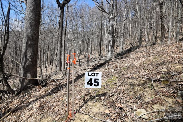 45 Prosperity Ridge 45, Waynesville, NC 28785