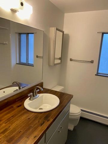 220 W Mosley Street, Ann Arbor, MI 48103