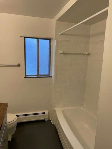 220 W Mosley Street, Ann Arbor, MI 48103