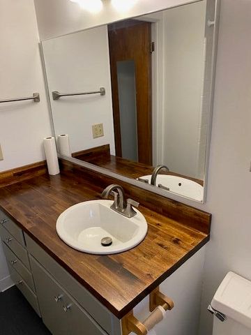 220 W Mosley Street, Ann Arbor, MI 48103