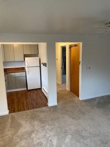 220 W Mosley Street, Ann Arbor, MI 48103