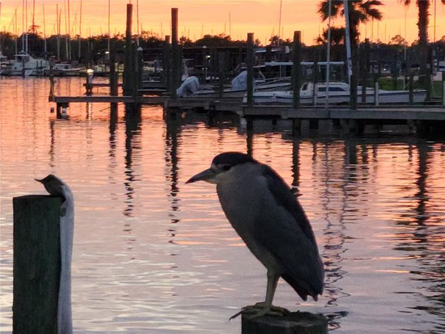 21 Tindel Street, Clear Lake Shores, TX 77565