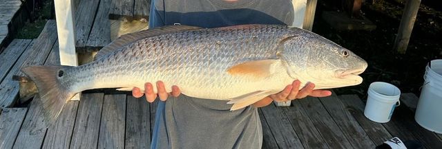 21 Tindel Street, Clear Lake Shores, TX 77565