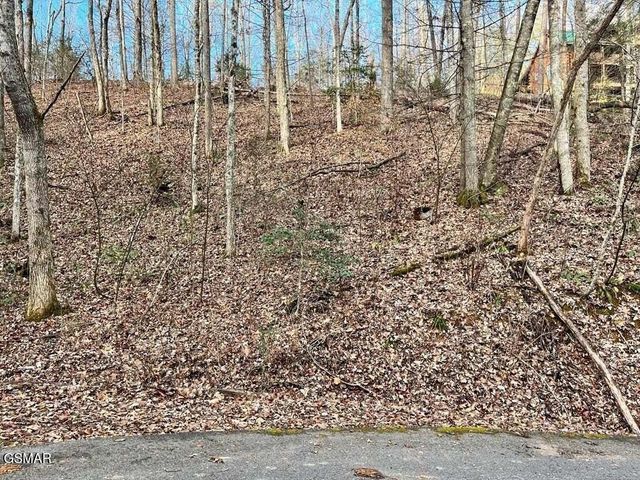 303132 N Highland Drive, Gatlinburg, TN 37738