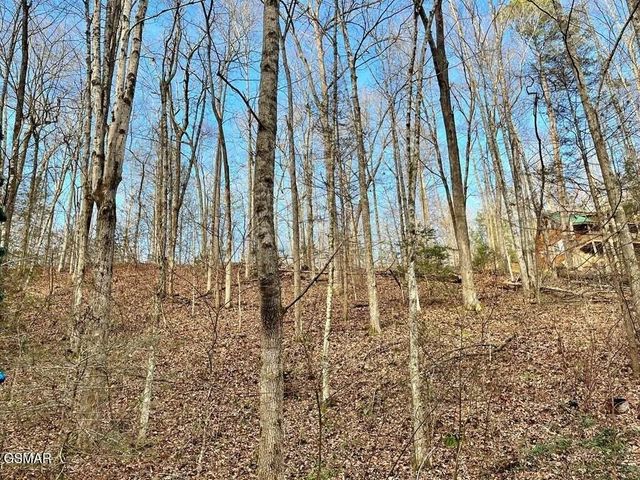 303132 N Highland Drive, Gatlinburg, TN 37738