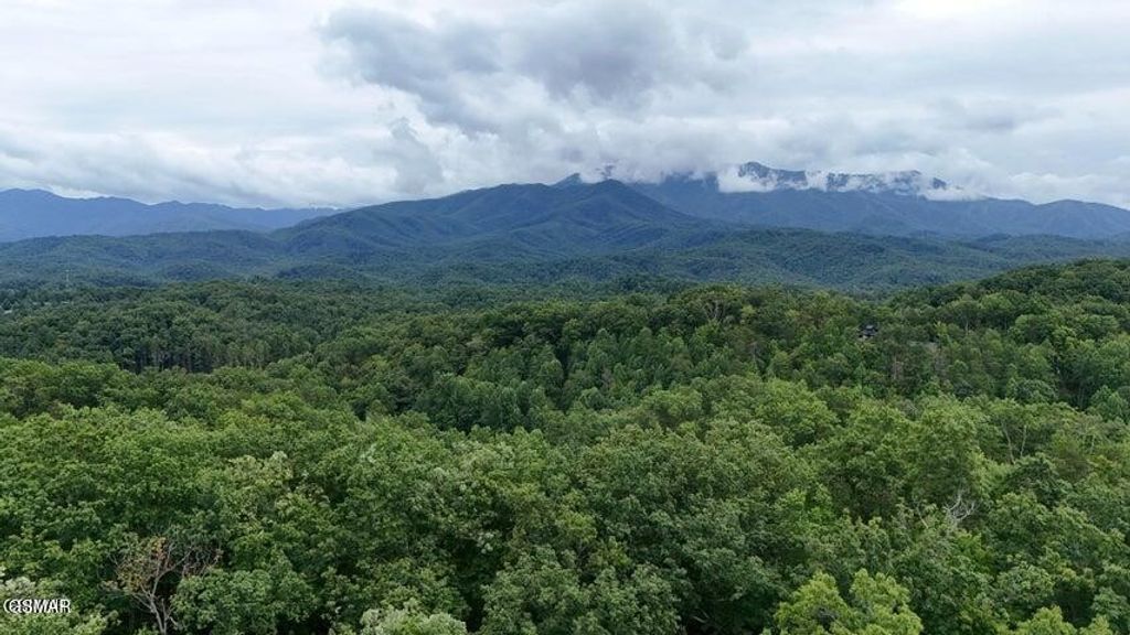 303132 N Highland Drive, Gatlinburg, TN 37738